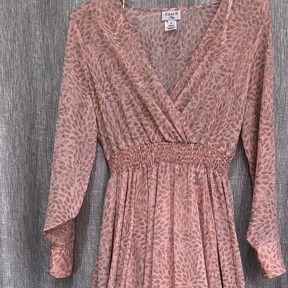 Alexa B Nites Dress Women Size 4 Maxi Shimmery Sheer Pink and Gray Stretch Waist - Picture 2 of 2